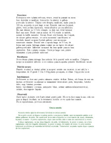 Rostopasca (chelidonium majus) - Pagina 5