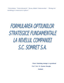 Formularea opțiunilor strategice fundamentale la nivelul unei companii - SC Somret SA - Pagina 1