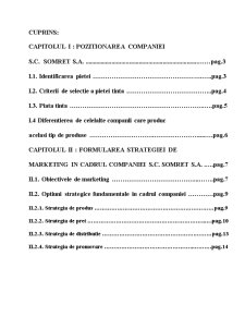 Formularea opțiunilor strategice fundamentale la nivelul unei companii - SC Somret SA - Pagina 2
