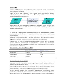 Introducere în SAP ERP - Pagina 3
