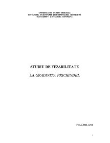 Studiu de fezabilitate Grădinița Prichindel Timișoara - Pagina 1