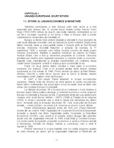 Impactul aderării României la Uniunea Europeană asupra CFR SA - Pagina 3