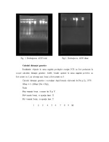 Markeri Moleculari ADN și Utilitatea Acestora - Pagina 5