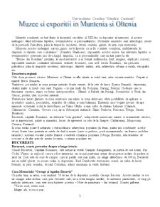 Muzee și expoziții în Muntenia și Oltenia - Pagina 2