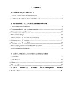 Diagnosticul Financiar la SC Omega SRL - Pagina 1