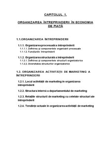 Organizarea activității de marketing la Societatea Comercială Braiconf SA Brăila - Pagina 2