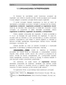 Organizarea activității de marketing la Societatea Comercială Braiconf SA Brăila - Pagina 3