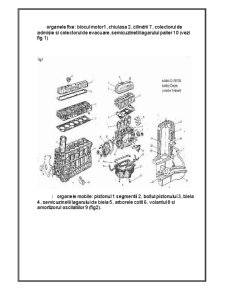 Construcția, funcționarea și evoluția mecanismul motor - Pagina 3