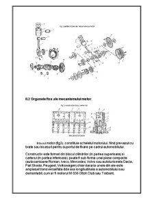 Construcția, funcționarea și evoluția mecanismul motor - Pagina 4