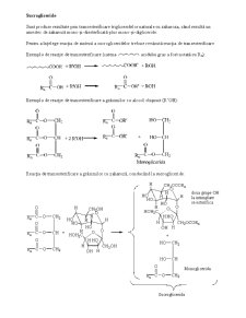 Extracția glicanilor - Pagina 5