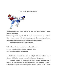 Rolul antrenorului și importanța în modelarea conduitei sportivilor din Taekwondo - Pagina 3