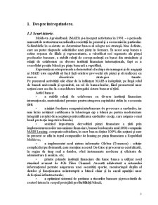 Analiza BC Moldova-Agroindbank SA din Republica Moldova - Pagina 3