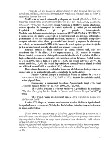 Analiza BC Moldova-Agroindbank SA din Republica Moldova - Pagina 5