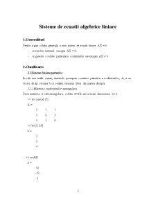 Sisteme de ecuații algebrice liniare - Pagina 3