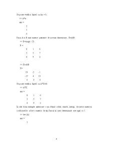 Sisteme de ecuații algebrice liniare - Pagina 4