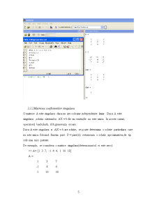 Sisteme de ecuații algebrice liniare - Pagina 5