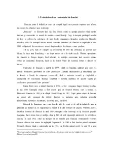 Contractul de Franciza - Studiu de Caz - Agentia Caravelle - Pagina 2