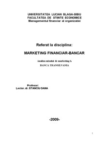 Marketing financiar-bancar - analiza mixului de marketing la Banca Transilvania - Pagina 1
