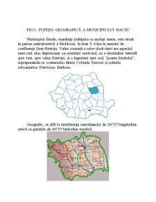 Monografia orașului Bacău - Pagina 4