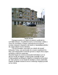 Riscuri hidrologice în Județul Bacău - Pagina 4