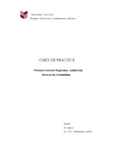 Caiet de practică - Primăria Comunei Ruginoasa, Județul Iași - serviciul de contabilitate - Pagina 1