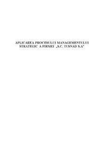 Aplicarea procesului managementului strategic a firmei SC Tușnad SA - Pagina 1