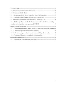 Diagnosticul Firmei SC Polltec SA - Pagina 2