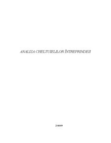 Analiza cheltuielilor întreprinderii - Pagina 1