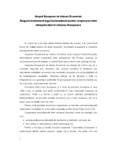 Grupul european de interes economic - singurul instrument legal transnațional pentru cooperarea între întreprinzători în Uniunea Europeană - Pagina 1