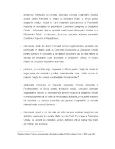 Rolul Agentului Guvernamental în Procedurile CEDO - Pagina 5