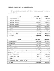 Analiza poziției financiare a societății comerciale Ikos-Conf SA - Pagina 5