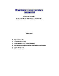 Organizația - Areal Lucrativ și Managerial - Pagina 1