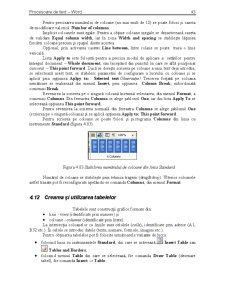 Procesorul de Texte Word - Pagina 43