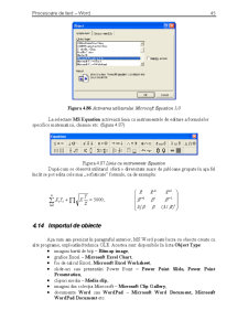 Procesorul de Texte Word - Pagina 45