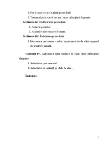 Procedura în Cazul unor Infracțiuni Flagrante - Pagina 2