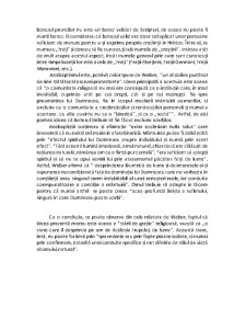 Etica Profesională a Protestantismului Ascetic - Pagina 4