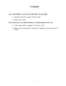 Analiza comportamentului etic a angajaților BC Procredit Bank - Pagina 2