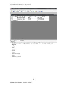 Crearea unei Baze de Date Microsoft Acces - Pagina 4