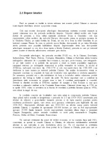 Poziția județului Călărași în regiunea Sud-Muntenia - Pagina 3
