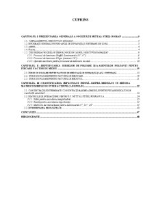 Cuantificarea impactului cu ajutorul matricei Leopold la Mittal Steel Roman - Pagina 1