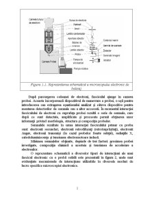 Microscopie electronică - Pagina 2