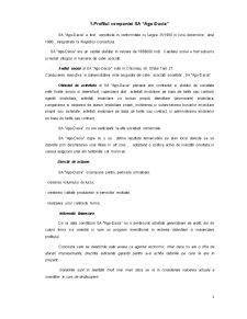 Model de analiză strategică - SA Ago Dacia - Pagina 2
