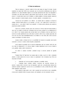 Model de analiză strategică - SA Ago Dacia - Pagina 3
