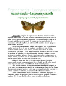 Viermele Merelor - Lespeyresia Pomonella - Pagina 3