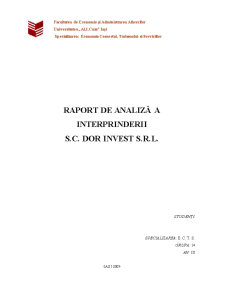 Raport de Analiza a Interprinderii - SC Dor Invest SRL - Pagina 1