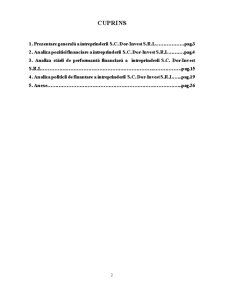 Raport de Analiza a Interprinderii - SC Dor Invest SRL - Pagina 2
