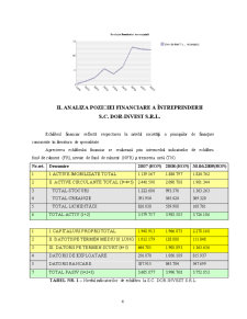 Raport de Analiza a Interprinderii - SC Dor Invest SRL - Pagina 4