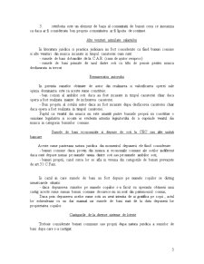Bunurile - Pagina 5