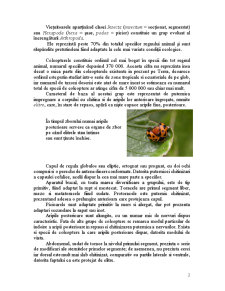 Clasa insectă supraordinul coleopteroidea ordinul coleoptera - Pagina 2
