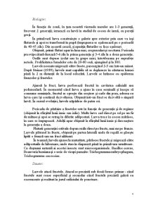 Familia Tortricidae - Viermele Merelor - Cydia Pomonella - Pagina 4